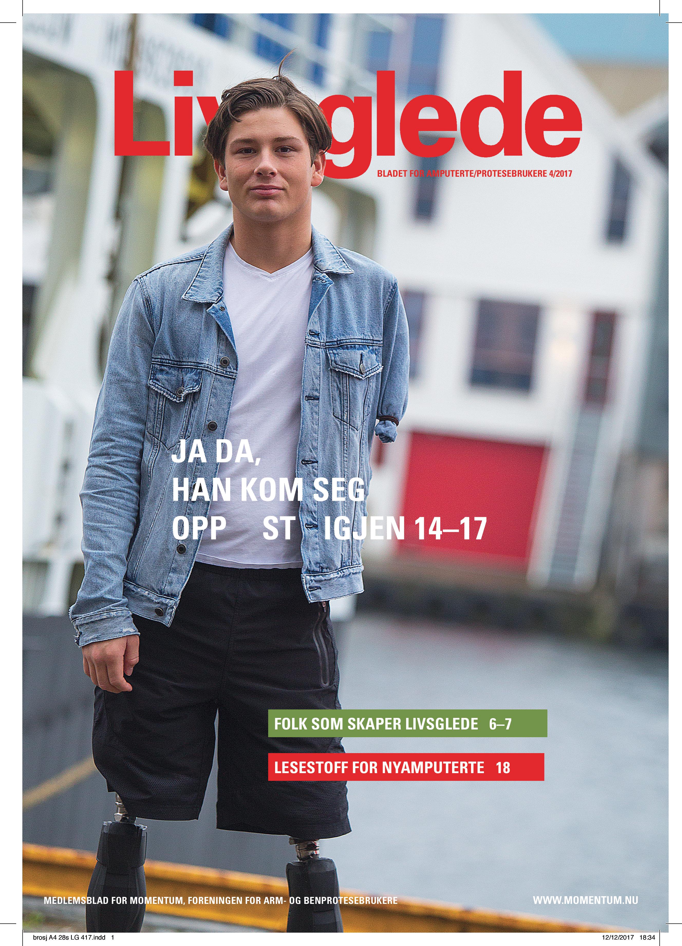 Livsglede 4 - 2017