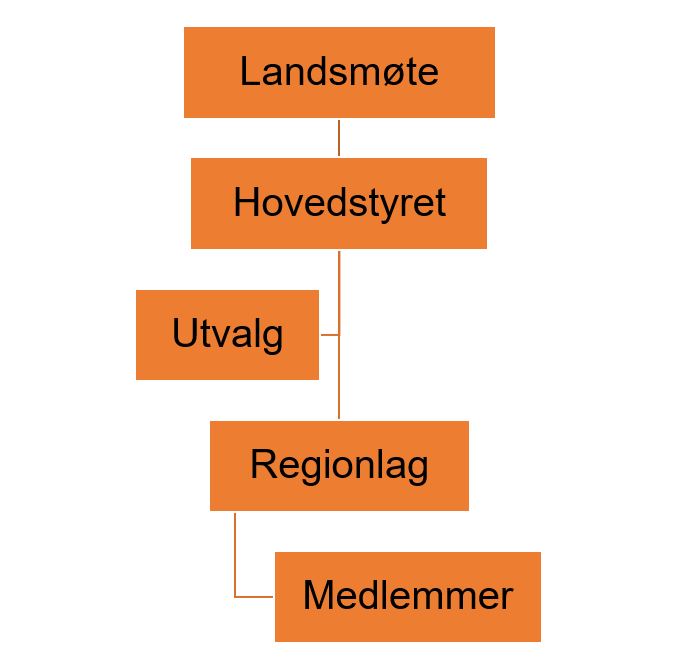 The organization's structure 2021